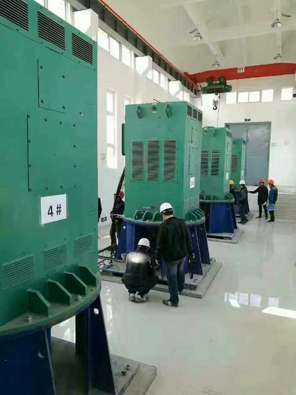 宁波某污水处理厂使用我厂的立式高压电机安装现场安装尺寸
